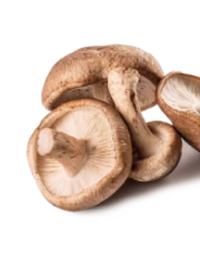 Shiitake