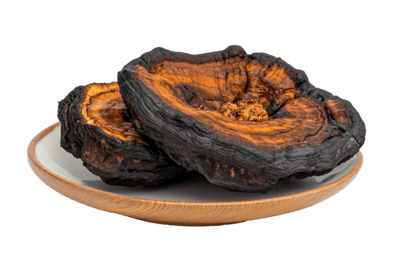 Chaga